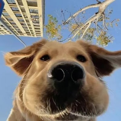 HaJimi587's profile picture. btc_chen