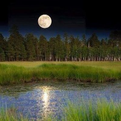 UniverseNa58348's profile picture. 