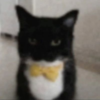 Vicaragorn's profile picture. corinthians