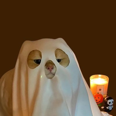 nndfnnnn's profile picture. 