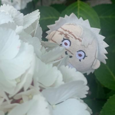 miyamiya0desu's profile picture. 