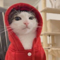 ✦ denz1000 ✦ (@denz1k) 's Twitter Profile Photo ✦ denz1000 ✦ (@denz1k) 's Twitter Profile Photo