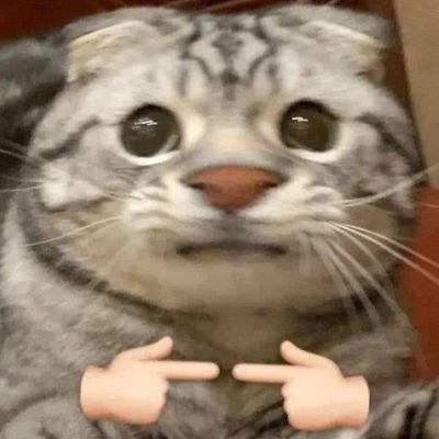 Delirium225's profile picture. i use this account to follow artists i like | @Delirium025 main