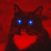 Not a cat (@tommyapples80) Twitter profile photo Not a cat (@tommyapples80) Twitter profile photo
