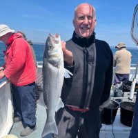 Ian Price 🏴 (@ianprice1196251) 's Twitter Profile