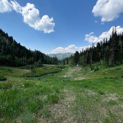 Farmermike222's profile picture. 