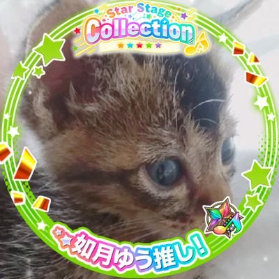杏実さんのプロフィール画像