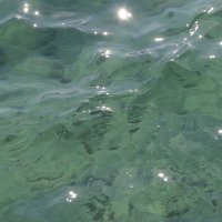 しおん (@tjj3oadzboseed4) 's Twitter Profile