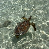 K (@kolife01) 's Twitter Profile