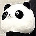 零🐕 (@m_k_c_i1724) 's Twitter Profile Photo 零🐕 (@m_k_c_i1724) 's Twitter Profile Photo
