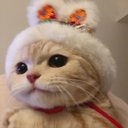 Amanda Plummer - @AmandaPlum33694 - Twitter