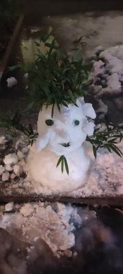 aiyariji's profile picture. 