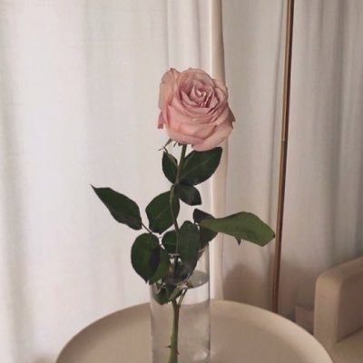 byrolisrosee's profile picture. 