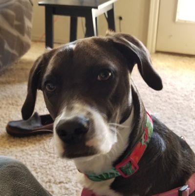 CorporateR62811's profile picture. I don't post for applause. I post to cut through the noise, call out hypocrisy, and leave a mark. Allergic to group think. If you're here for fluff, think again