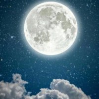 M NUR (@mehmet2027359) 's Twitter Profile