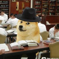 ממים על הגמרא (@talmud_memes) 's Twitter Profile