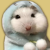 Hamster With Hood (@hamsterwithhood) Twitter profile photo Hamster With Hood (@hamsterwithhood) Twitter profile photo