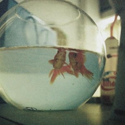 disyembrefeels's profile picture. heeki fanpage