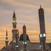 🔻Fawāid (@fawiddchannel) 's Twitter Profile Photo 🔻Fawāid (@fawiddchannel) 's Twitter Profile Photo