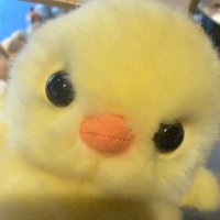 μμ (@luv_ddori) 's Twitter Profile Photo μμ (@luv_ddori) 's Twitter Profile Photo