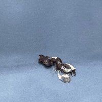 abc (@s8tweets) 's Twitter Profile