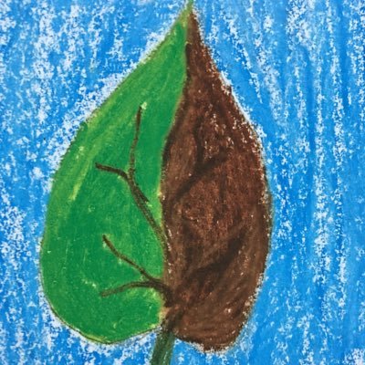 KaifenHsu's profile picture. 