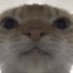 john.weth (@johnweth_) Twitter profile photo john.weth (@johnweth_) Twitter profile photo