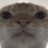 johnweth_'s profile image