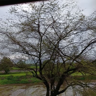@ShettySangeetaa