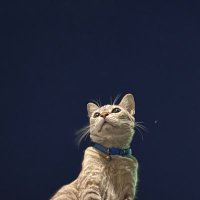 🌈SS.🌈 (@ssnrainbow000) 's Twitter Profile Photo