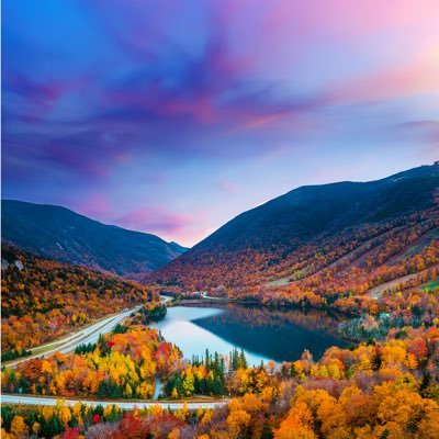 MESA010101's profile picture. 