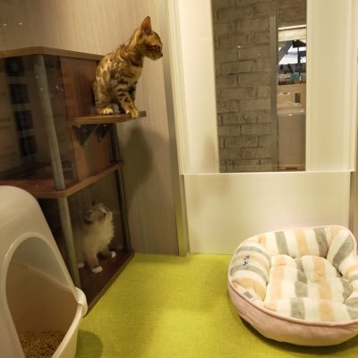 1pP8kZutWi63618's profile picture. 通話垢