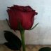 Mohd Aabid (@mohdaabid788062) Twitter profile photo Mohd Aabid (@mohdaabid788062) Twitter profile photo