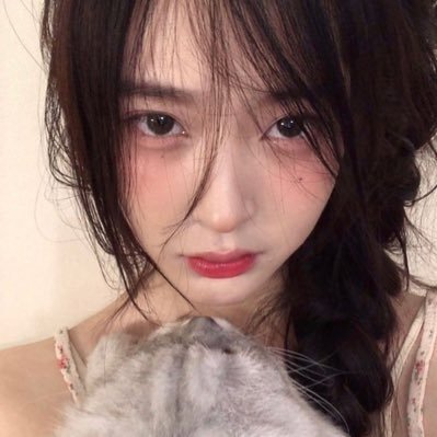 cxeruxxc's profile picture. 일상 ~ 코덕 ~ 잡덕 ~