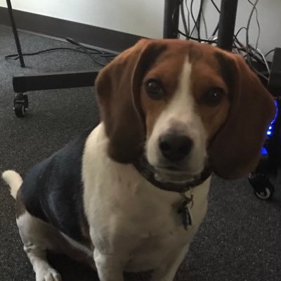 EMohorko's profile picture. 