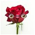 the bachelor rose (@willyouaccept) Twitter profile photo the bachelor rose (@willyouaccept) Twitter profile photo