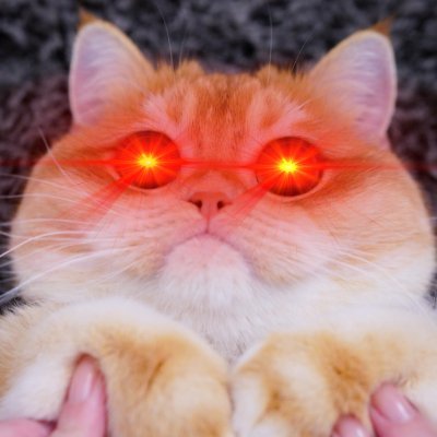 Combining the OG crypto meme with Solana cat season.
It's time for the #LAZERTAKEOVER.
CA: J5kUYf7HPtNBbbUZvSxhus9bTaUhXhRpSYWMQ9i9pump
$LAZER