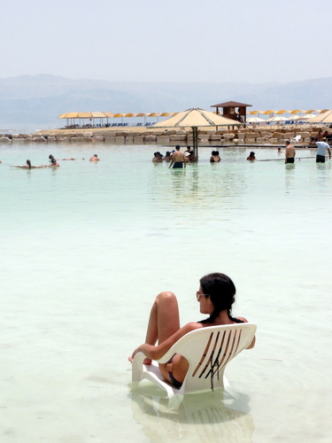 Soletraveler's profile picture. 