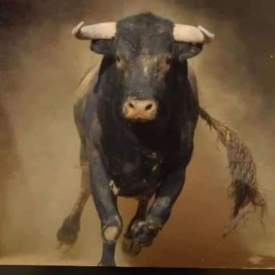 iamkelly_kelz's profile picture. We Sell&Buy Cars Foreign/Local Good price Swap Cars and Fix Cars PR/Transport Logistics Private Jet chatter and More Call Us/whatsapp : +234 8055558253