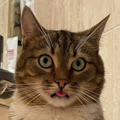 ukrsova's profile picture. Роблю апки