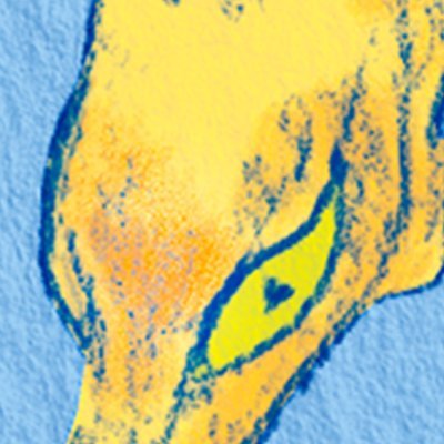 muceart Profile