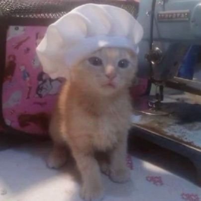 m_raramm's profile picture. 