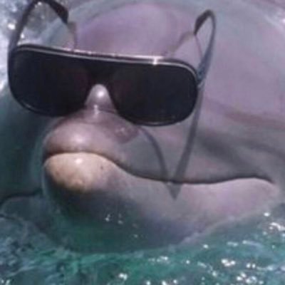 Georgebruh3's profile picture. 23 - Twitter Moments