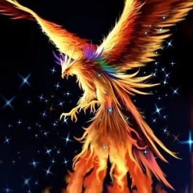 ank_yedek's profile picture. 