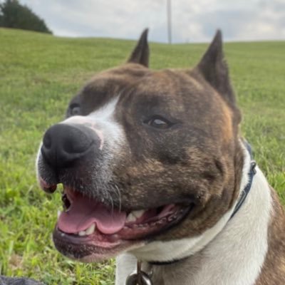 ShadLisa2024's profile picture. 