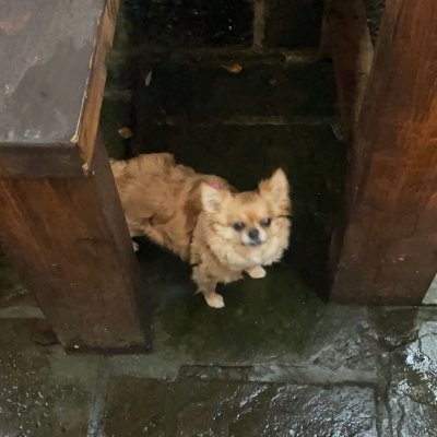 Maras42's profile picture. Not an expert in anything, but an interested observer of many things.