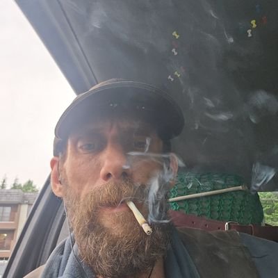 BrandonAnd10011's profile picture. Humanbeing