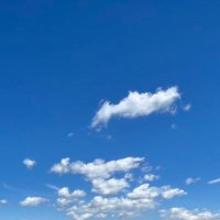 ぽぽ (@dcob99beff17162) 's Twitter Profile
