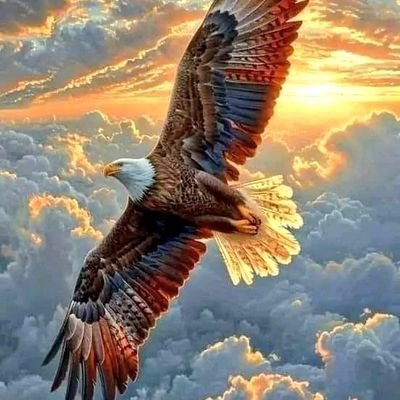 Je ne perds jamais.
Soit je gagne, soit j'apprends !
Nelson Mandela