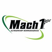 Mach1Greens (@mach1_greens) 's Twitter Profile Photo Mach1Greens (@mach1_greens) 's Twitter Profile Photo
